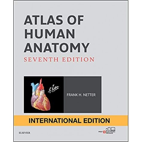 Atlas of Human Anatomy International Edition (Netter Basic Science) Paperback – 1 Mar 2018 by Frank H. Netter  (Author)